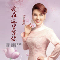 我在这里等你_乌兰图雅