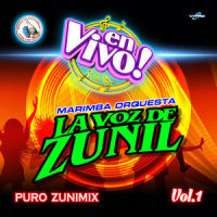 Zuni - Mix Quebraditas 9: El Tumba Coco / Miénteme_Marimba Orquesta La Voz de Zunil,Juan Carlos Vicencia,America Sierra