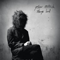 Up In The Mountains_Yellow Ostrich