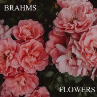 Brahms: Symphony No. 1 In C Minor, Op. 68 - 3. Un poco allegretto e grazioso_Berliner Philharmoniker,Herbert von Karajan