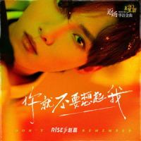 你就不要想起我_赵磊