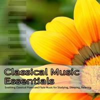 Gianni Schicchi: O mio babbino caro(Flute Transcription)_Classical Music DEA Channel,Relaxing Classical Music Academy,Classical Music for Studying DEA Channel,Giacomo Puccini