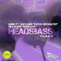 Paths Separated_Auris,Sofi Mari