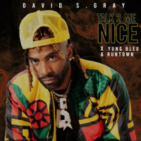 Talk 2 Me Nice_DAVID S GRAY,BLEU,Runtown