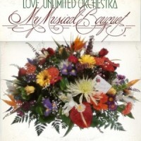 Hey Look At Me, I'm In Love_Love Unlimited Orchestra