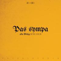 Pas sympa (feat. Patxi, S L I M & Ivo)_Aka Gryzz,Patxi,S L I M,Ivo