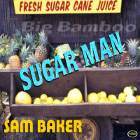 Stranger Sensation_Sam Baker