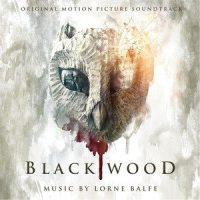 Exploring the Woods_Lorne Balfe