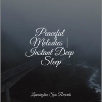 Fantastic Relaxation_Wellness,Nature Soundscape,Unforgettable Paradise SPA Music Academy