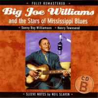 Bad Heart Blues_Big Joe Williams