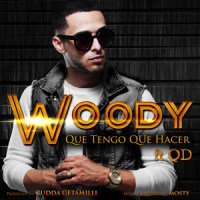 Que Tengo Que Hacer(feat. Qd)_Woody,QD