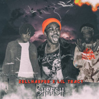 Sheesh_ZellHarper,Lil Tracy