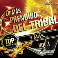 Cumbia Tribalera_El Pelon Del Mikrophone,Edwin Luna y La Trakalosa de Monterrey,Violento