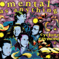 In The Sunshine_Mental As Anything