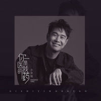 你是医我的药_小沈阳