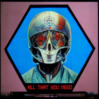 All That You Need_Don Diablo