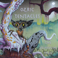 Nakuru_Ozric Tentacles
