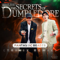 Fantastic Beasts_John Williams,James Newton Howard,Wizarding World