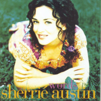 I Want To Fall In Love (So Hard It Hurts)_Sherrie Austin