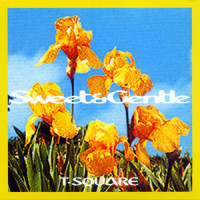 Sweet and Gentle_T-SQUARE