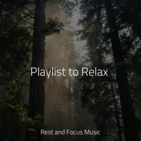 Rainy Day Drops_Yoga Soul,Musica Relaxante,Pink Noise