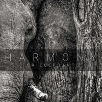 The Elephants Tale_Anthony Phillips