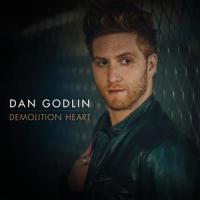 Demolition Heart_Dan Godlin