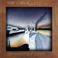 Less Than Human_The Chameleons