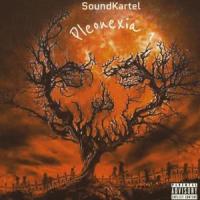 Vexation(feat. Nightmare)_Dj Souf,Nightmare