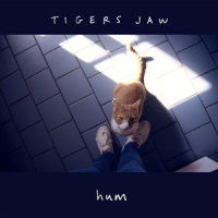 Hum_Tigers Jaw