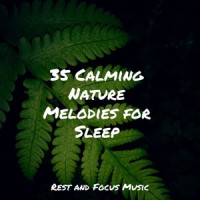 Laser Focused_Pink Noise,Relaxing Nature Music,Bedtime Baby