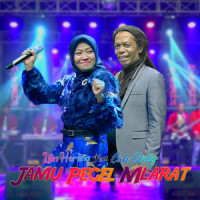Jamu Pegel Mlarat(feat. Cak Sodiq)_Lilin Herlina,Cak Sodiq