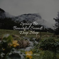 Touch_White Noise Sound Garden,Saludo al Sol Sonido Relajante,Deep Sleep