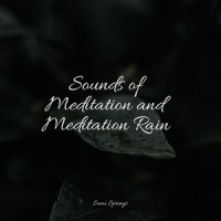 Droplets_Sounds of Nature White Noise for Mindfulness Meditation and Relaxation,Zen,Sleepy Times