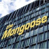 Pintos_Mongoose