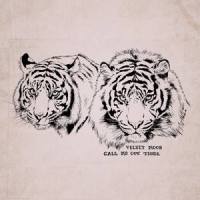 Call Me out Tiger_Velvet Moon