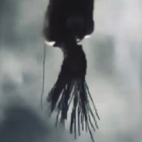 Kite_Babe Ruth