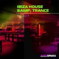 Lively Airy Funk House Full_Bobby Cole