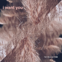 I Want You_Late June,Liam Bevin,Ashley Aisha