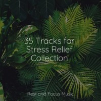 Waves of the Ocean_Mindfulness Mediation World,Wellness,Saludo al Sol Sonido Relajante