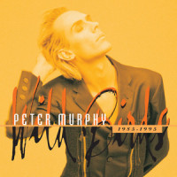 The Scarlet Thing in You_Peter Murphy