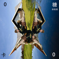 0糖0卡_徐真真