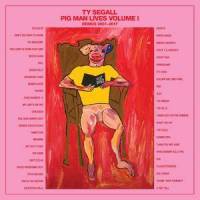 My Lady's On Fire_Ty Segall