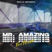 MR. Amazing_The Truth