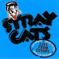 Ubangi Stomp_Stray Cats