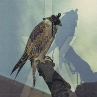 Morals_Iceage