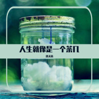 人生就像是一个茶几_洛天依