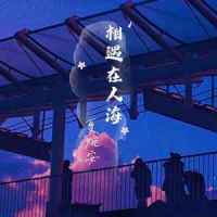 相遇在人海_夏婉安