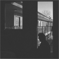 Into the Light_J.Views,Wild Cub