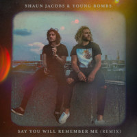 Say You Will Remember Me_Shaun Jacobs,Young Bombs
